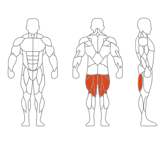 LD1023坐式屈腿 副本 LD1023坐式屈腿 副本