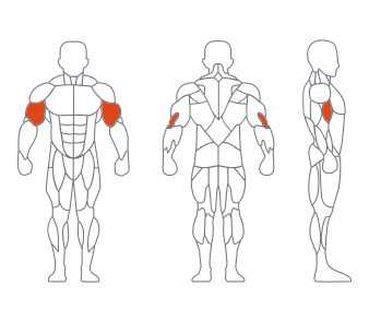 LD1030 45度二头肌训练器 副本 LD1030 45度二头肌训练器 副本
