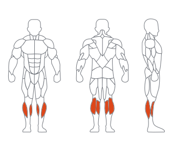 LS-097站式小腿训练器 LS-097站式小腿训练器